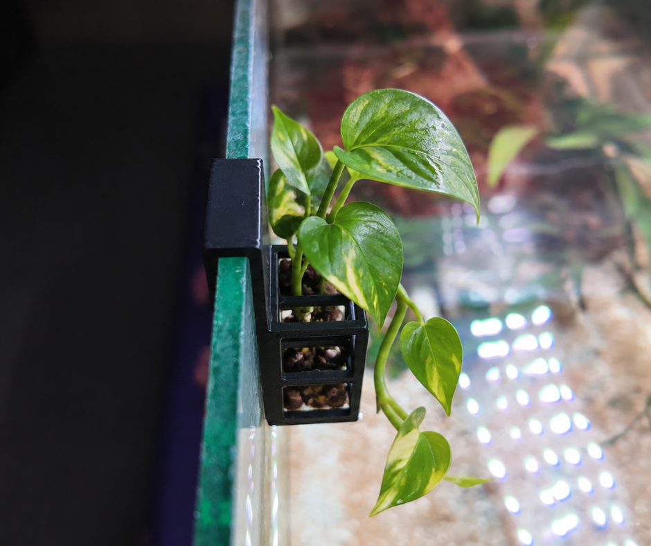 Aquarium Plant Holder for 5mm Glass
